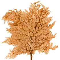 category Branches, sticks & twigs