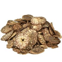 category Decorative wood slices & bark