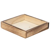category Tray & plant box