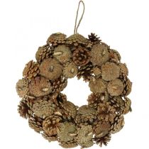 category Pine cones & cones