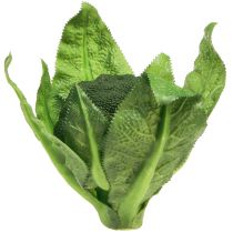 category Vegetable decoration