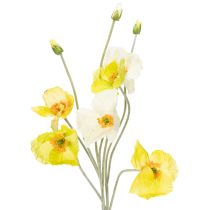 category Garden flowers & meadow flowers