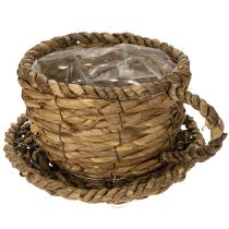 category Basket & Planters