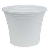 category Plastic planters
