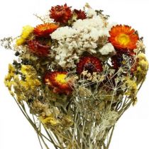 category Dried flowers
