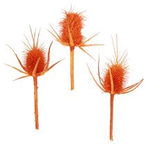 category Branches, sticks & twigs