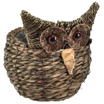 category Owl & hedgehog figurines