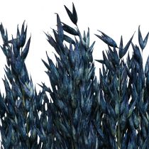 Product Dried flowers, oats dried grain decoration blue 68cm 230g