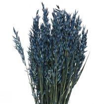 Product Dried flowers, oats dried grain decoration blue 68cm 230g