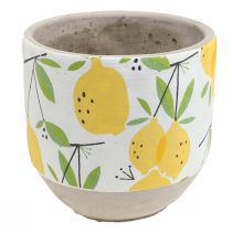 Product Planter ceramic lemon decorative flower pot summer H17cm