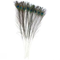 Peacock feather decorative feathers for crafting bird feathers H78cm 10 pieces