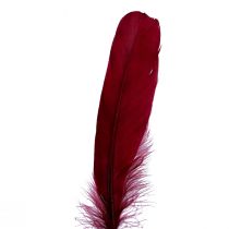 Product Decorative feathers for crafts, real bird feathers, wine red, 20g