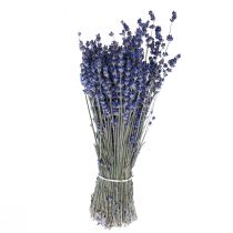 Product Dried Lavender Bunch of Dried Flower Blue 25cm 75g