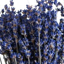 Product Dried Lavender Bunch of Dried Flower Blue 25cm 75g