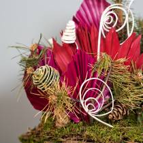 Product Cane assortment mini natural 75 pieces