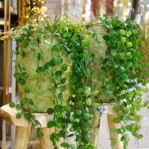 Product Hanging plant in a pot Artificial green plant Hanging basket