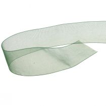 Product Organza ribbon green gift ribbon woven edge fir green 40mm 50m