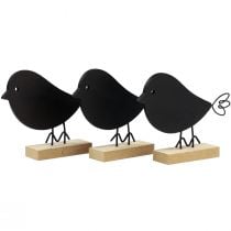 Product Decorative birds black wooden birds wooden decoration spring 13.5cm 6pcs