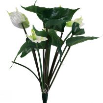 Artificial flowers, flamingo flower, artificial anthurium white 36cm