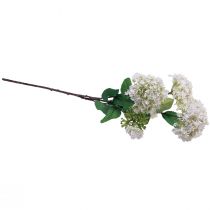 Product Artificial flower snowball plant Virburnum white Ø8cm 64cm