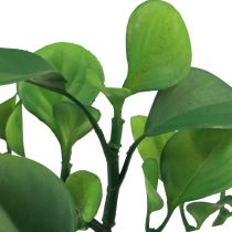 Artificial green plant succulent artificial green H14cm