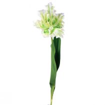 Product Artificial flower parrot tulip artificial tulip green white 69cm