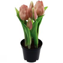 Product Artificial tulips in pot Tulips Peach artificial flowers 22cm