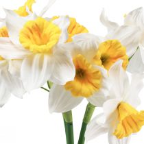 Product Artificial Daffodils White Silk Flowers Daffodils 40cm 3pcs