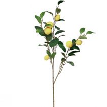 Decorative lemon branch with 6 artificial lemons 100cm