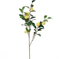 Product Artificial lemon branch with 6 decorative lemons, Mediterranean summer decoration, 100cm, yellow-green