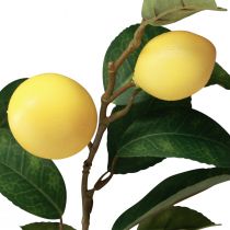 Product Artificial lemon branch with 6 decorative lemons, Mediterranean summer decoration, 100cm, yellow-green