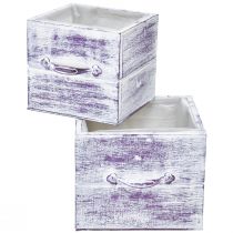 Product Plant drawer with handle purple white wood 12/15cm set of 2