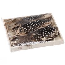 Product Decorative Feather Pendant Wooden Natural Feather 9.5/10cm 9 pcs