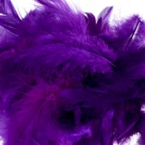 Product Decorative feathers small real bird feathers decoration purple 5-10cm 10g