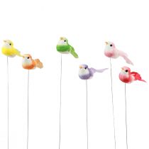 Product Feather bird on wire, decorative bird with feathers colorful 2.5cm 24pcs