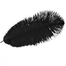 Product Decorative Ostrich Feathers Black Feathers 38-40cm 2 pcs