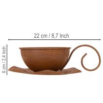 Product Vintage rust-colored plant pot and saucer, Ø17.5cm H6cm