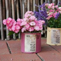 Product Decorative tin, shabby chic style, metal, Ø11cm H10.5cm, various colors
