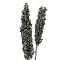 Product Dried flowers sorghum millet blue-green dried flowers 72cm 3pcs