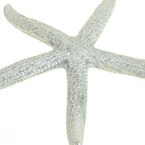Starfish silver maritime decoration starfish summer decoration 7.5 cm 10 pieces