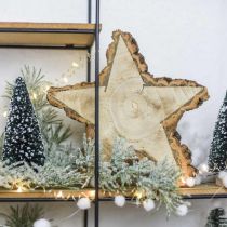 Tray made of tree slice, Christmas, wood decoration star, natural wood Ø20cm