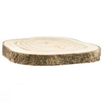 Product Tree slice bluebell tree natural Ø20-25cm 1pc