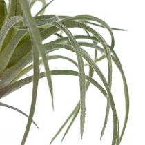 Product Tillandsia Succulent Artificial Green Plants 13cm