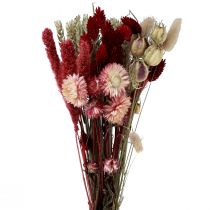 Product Dried flower bouquet straw flowers Phalaris red 30cm