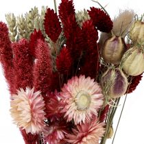Product Dried flower bouquet straw flowers Phalaris red 30cm