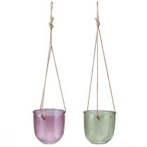 Product Flower pot glass lantern for hanging purple green 14cm 2pcs