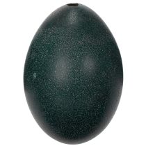 Product Emuei decorations for festive home decor and stylish accents for Easter