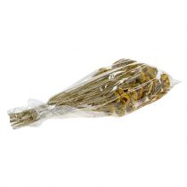 Product Achillea 500g Natural