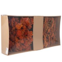 Product Achillea Orange dried flowers, yarrow, 45-60cm, 1kg