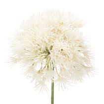Product Allium artificial flower, delicate design for indoor use, 68cm